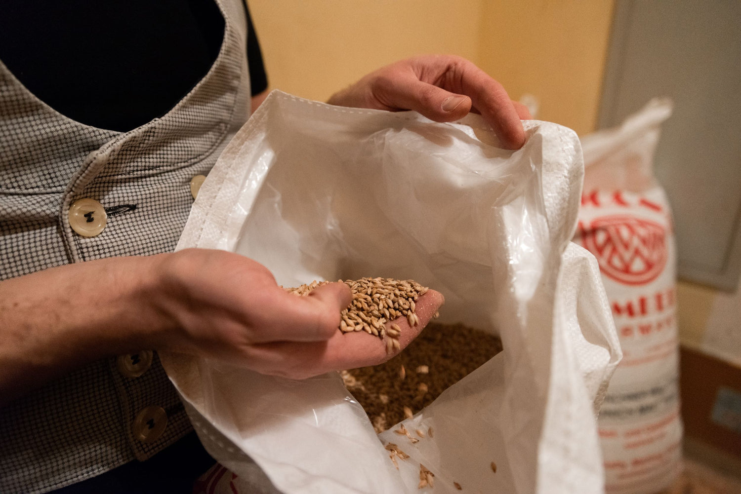 Das Foto zeigt die Hand des Braumeisters der in den Beutel des Malz greift, um diesen zu kontrollieren.
